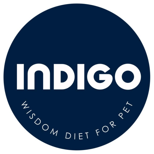 Indigo 韓國